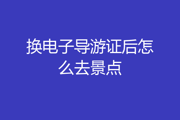 换电子导游证后怎么去景点