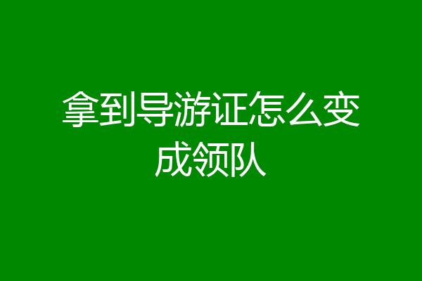 拿到导游证怎么变成领队