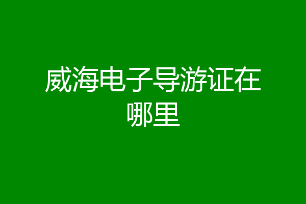 威海电子导游证在哪里
