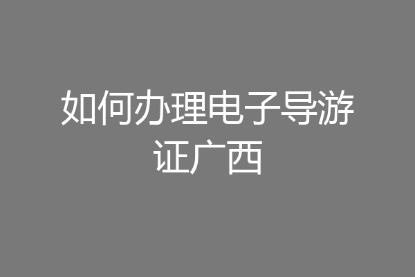 如何办理电子导游证广西