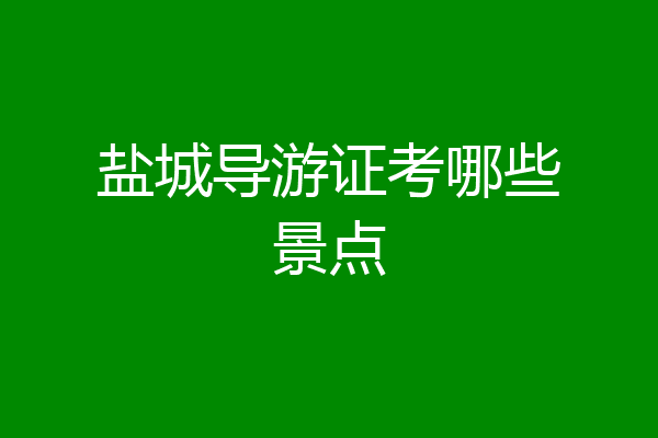 盐城导游证考哪些景点