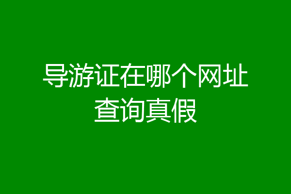 导游证在哪个网址查询真假