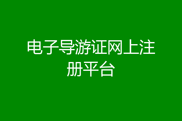 电子导游证网上注册平台