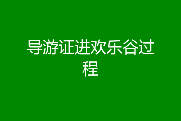 导游证进欢乐谷过程