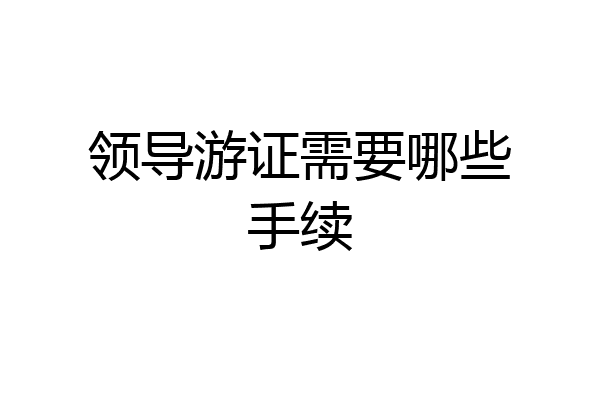 领导游证需要哪些手续