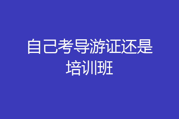 自己考导游证还是培训班