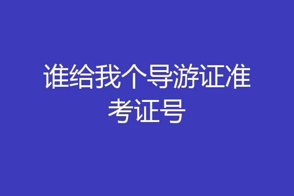 谁给我个导游证准考证号
