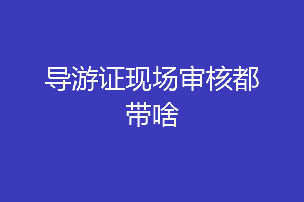 导游证现场审核都带啥