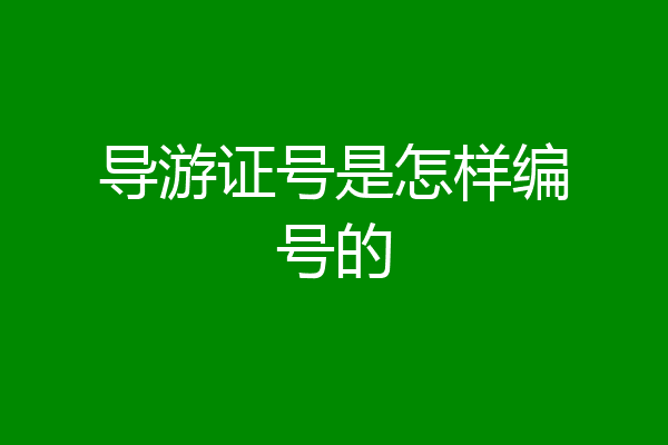 导游证号是怎样编号的