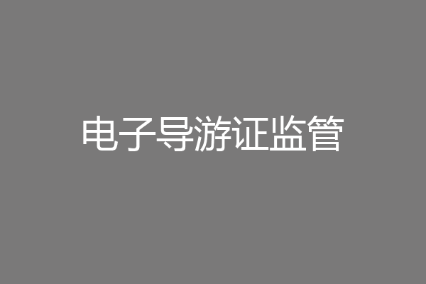 电子导游证监管