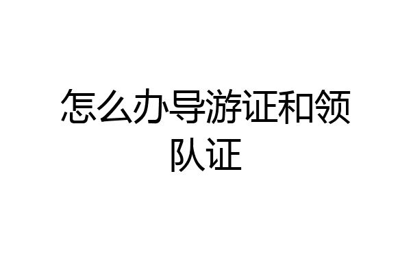 怎么办导游证和领队证