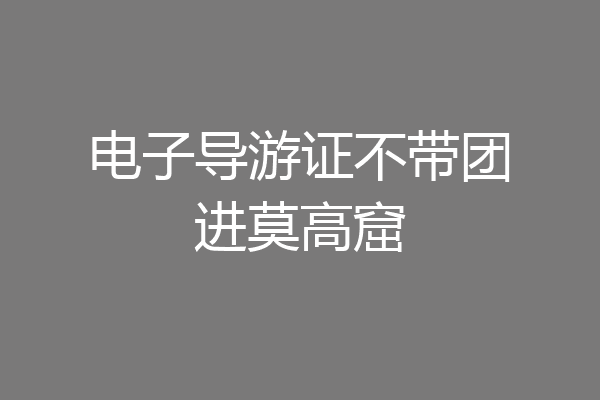 电子导游证不带团进莫高窟