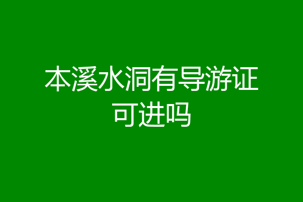 本溪水洞有导游证可进吗