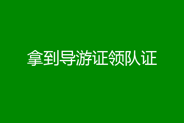 拿到导游证领队证