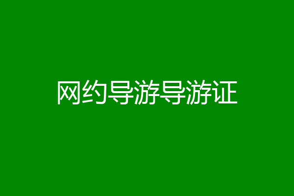 网约导游导游证