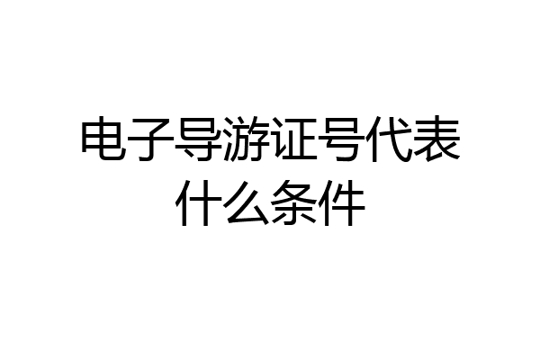 电子导游证号代表什么条件