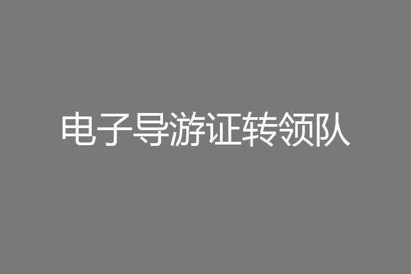 电子导游证转领队