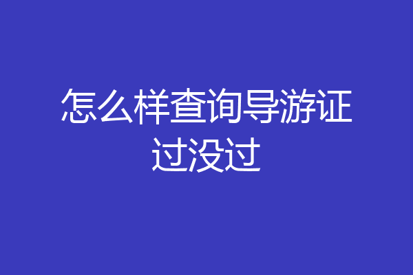 怎么样查询导游证过没过