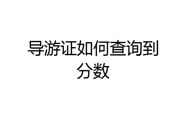 导游证如何查询到分数