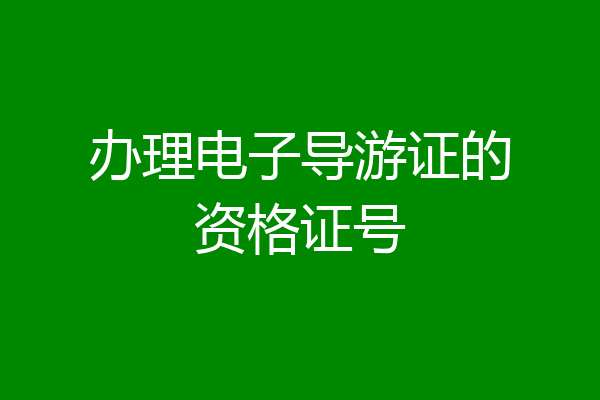 办理电子导游证的资格证号