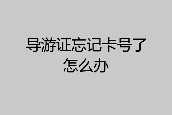 导游证忘记卡号了怎么办