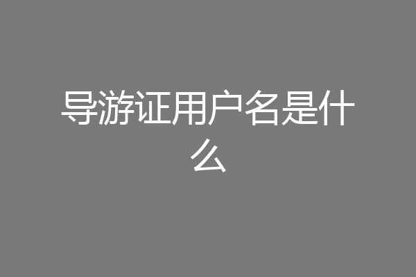 导游证用户名是什么