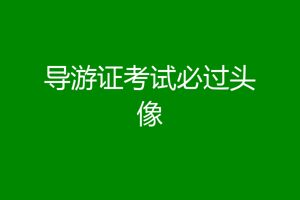导游证考试必过头像