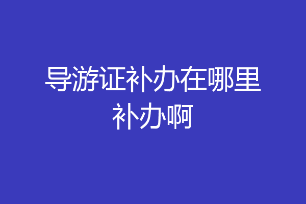 导游证补办在哪里补办啊