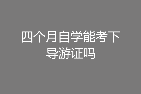 四个月自学能考下导游证吗