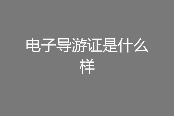 电子导游证是什么样