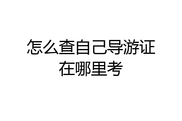 怎么查自己导游证在哪里考