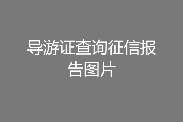 导游证查询征信报告图片