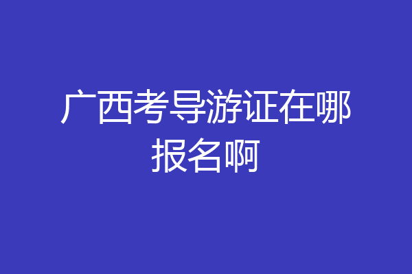 广西考导游证在哪报名啊