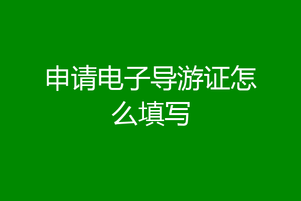 申请电子导游证怎么填写