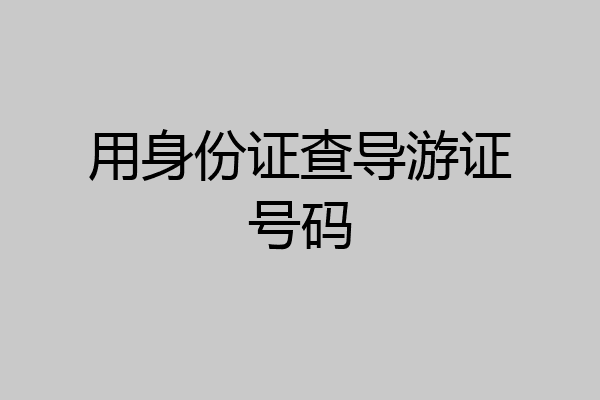 用身份证查导游证号码