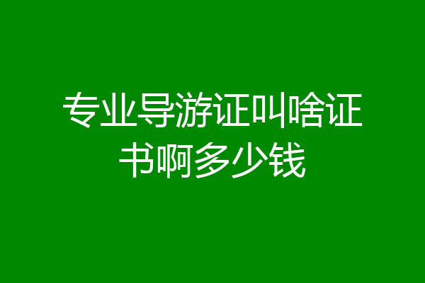 专业导游证叫啥证书啊多少钱