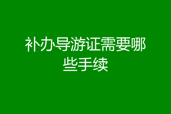 补办导游证需要哪些手续