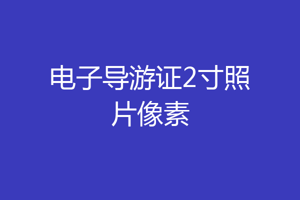 电子导游证2寸照片像素