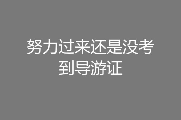努力过来还是没考到导游证