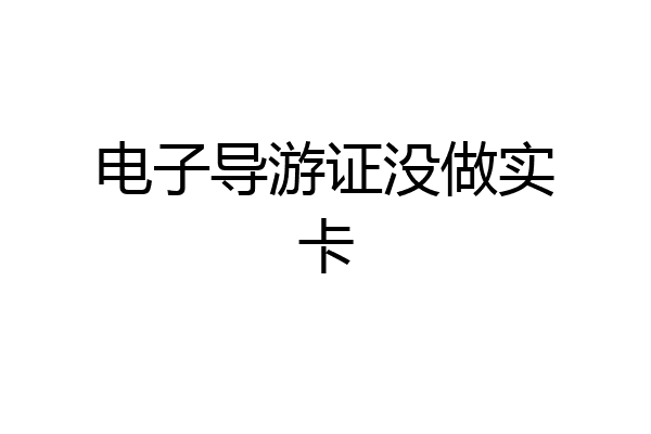 电子导游证没做实卡