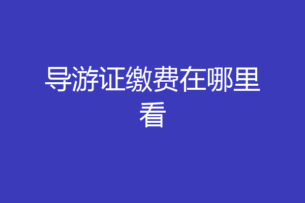 导游证缴费在哪里看
