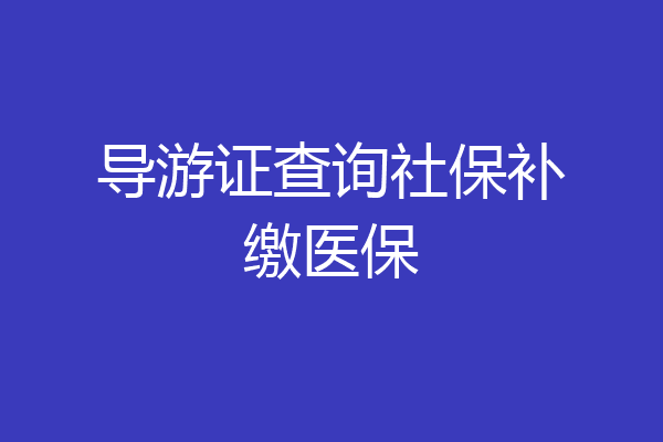 导游证查询社保补缴医保