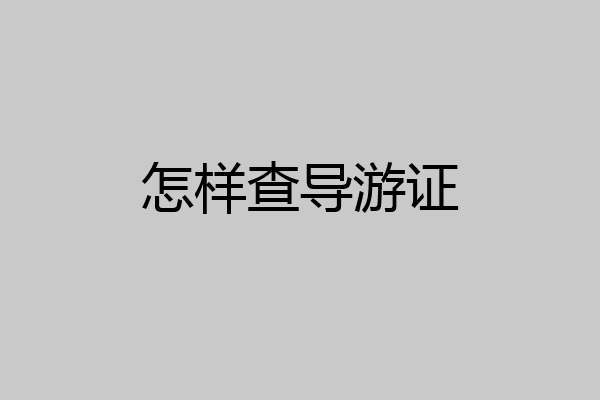 怎样查导游证