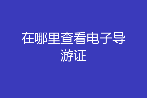 在哪里查看电子导游证
