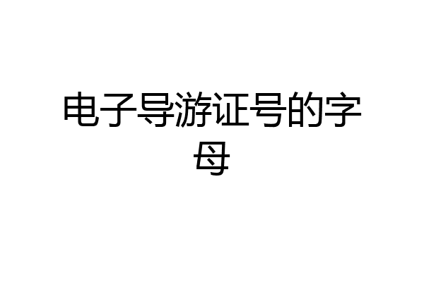 电子导游证号的字母