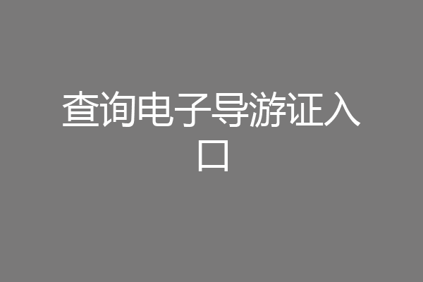 查询电子导游证入口