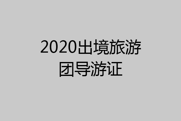 2020出境旅游团导游证