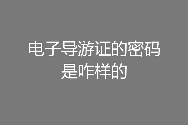 电子导游证的密码是咋样的