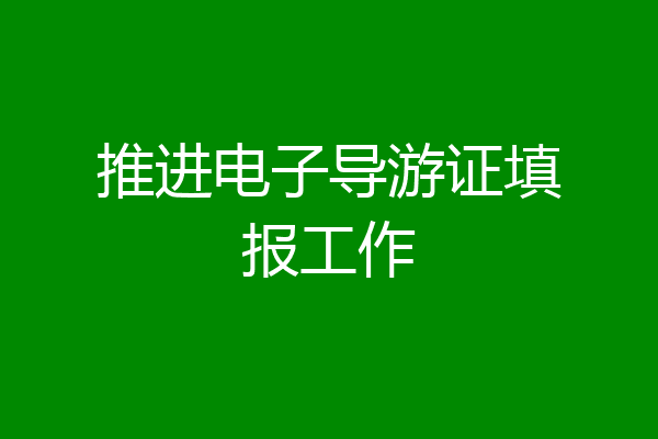 推进电子导游证填报工作