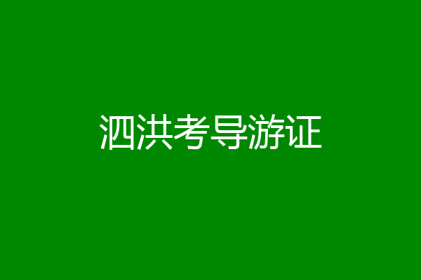 泗洪考导游证